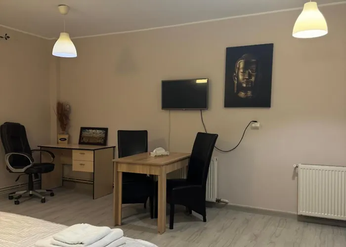 Apartament City Central *